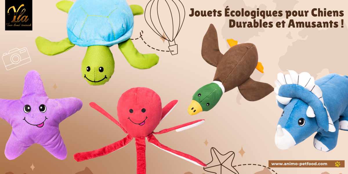 Jouets écologiques pour chiens : respectueux de l'environnement, durables, et parfaits pour les jeux aquatiques